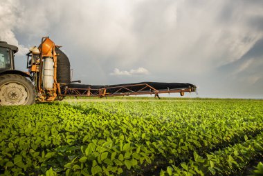 Gün batımında traktör soya tarlası püskürtüyor..