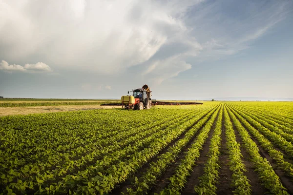 Traktor sprutning sojafält i solnedgången. — Stockfoto