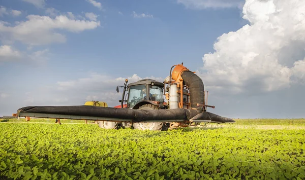 Tractor spraying soy field in sunset. — Stock Photo, Image