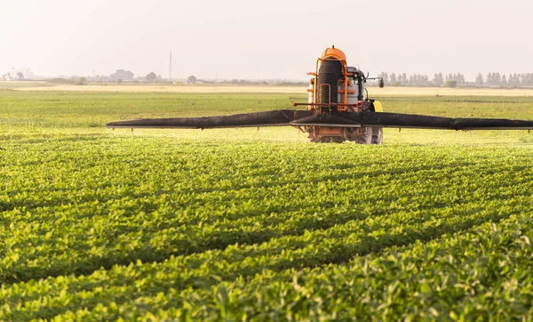 Tractor spraying soy field in sunset. — Stock Photo, Image