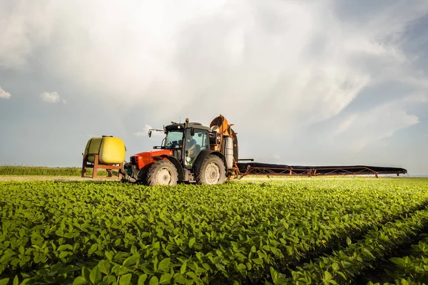 Traktor stříká sójové pole při západu slunce. — Stock fotografie