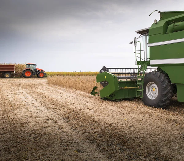 Raccolta del campo di soia con mietitrebbia. — Foto Stock