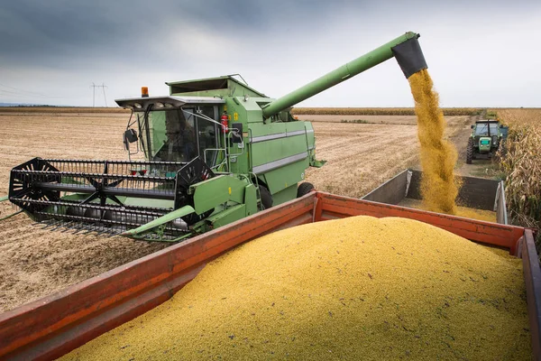 Combinar la transferencia de soja después de la cosecha — Foto de Stock