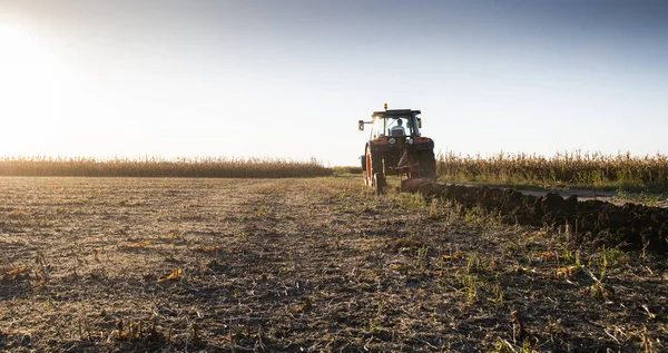 Traktor pflügt Felder im Sonnenuntergang — Stockfoto