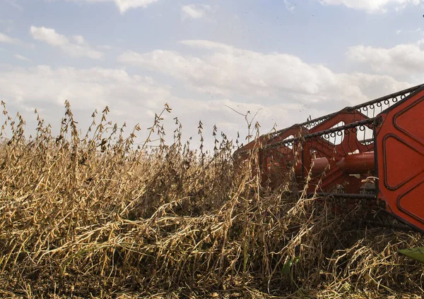Zbioru pola soi z kombajnem. — Zdjęcie stockowe