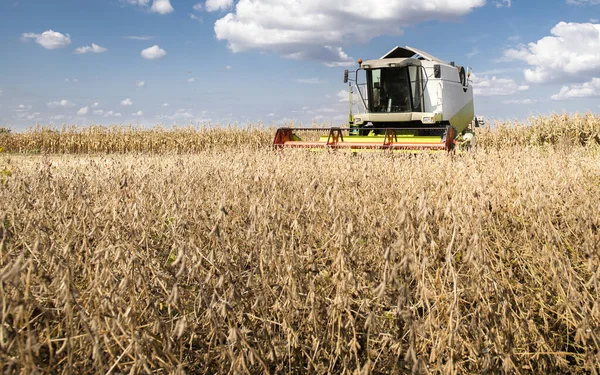 Cosecha del campo de soja con la combinación. —  Fotos de Stock