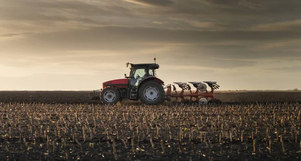 Traktor plöjning fält i solnedgången — Stockfoto