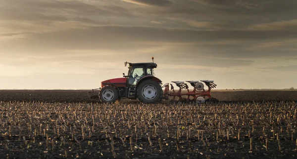 Campos de arado de trator ao pôr do sol — Fotografia de Stock