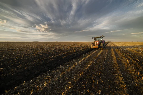 Traktor plöjning fält i solnedgången — Stockfoto