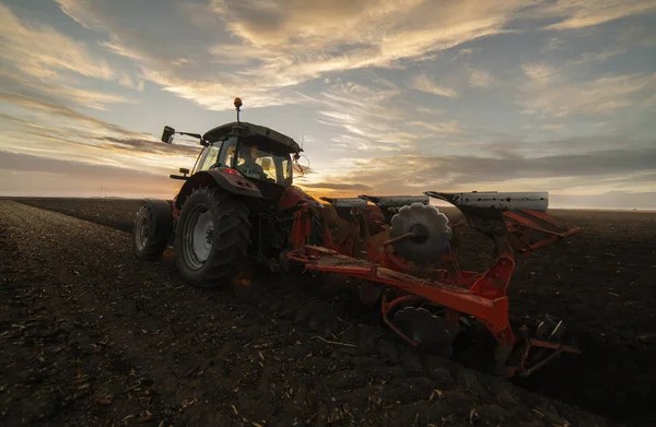 Traktor pflügt Felder im Sonnenuntergang — Stockfoto