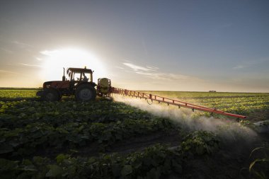 Traktör baharda sebze tarlasına böcek ilacı püskürtüyor.