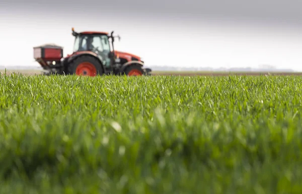 Traktor Streut Kunstdünger Aus Verkehr Landwirtschaft — Stockfoto