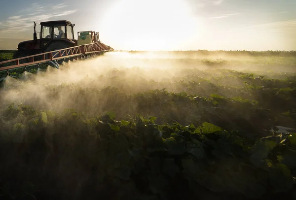 Trekker Sproeien Pesticiden Plantaardige Akker Met Sproeiapparaat Het Voorjaar — Stockfoto