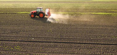 Traktör bahar aylarında mısır tarlasına böcek ilacı püskürtüyor.