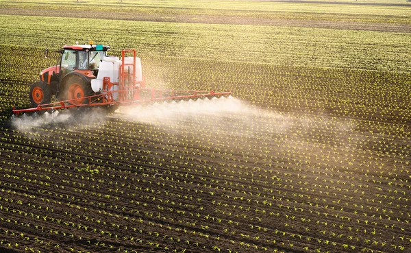 Trattore Spruzzo Pesticidi Sul Campo Mais Con Spruzzatore Primavera — Foto Stock