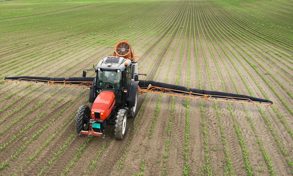 Trekker Sproeien Pesticiden Maïsveld Met Sproeiapparaat Het Voorjaar — Stockfoto