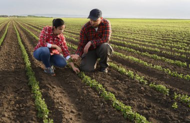 İlkbaharda taze soya eken genç çiftçiler