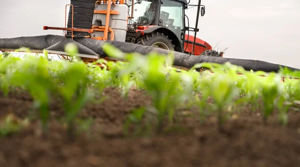 Traktor Rozprašuje Pesticidy Kukuřičném Poli Postřikovačem Jaře — Stock fotografie