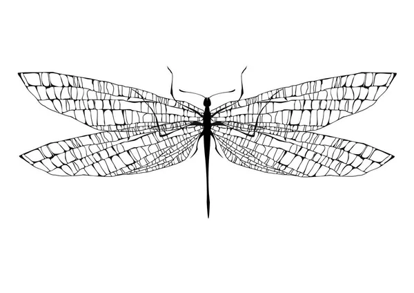 Libelle auf weißem Hintergrund — Stockvektor