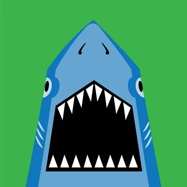 Shark illustration typography — Stock Vector