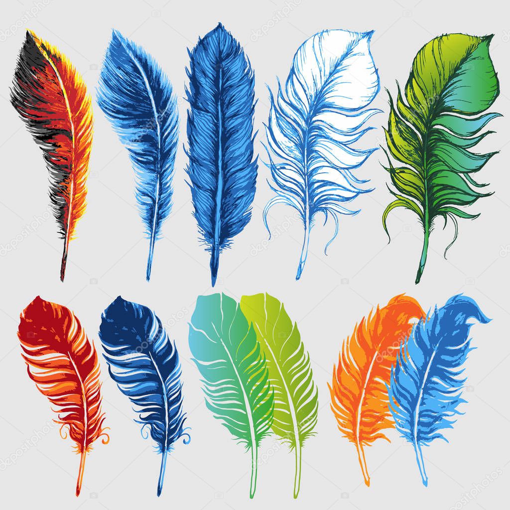 Hand drawn feathers set on grey background.