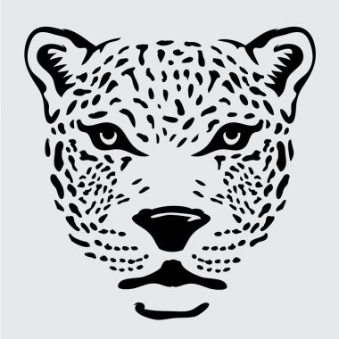 Panter illüstrasyon baş