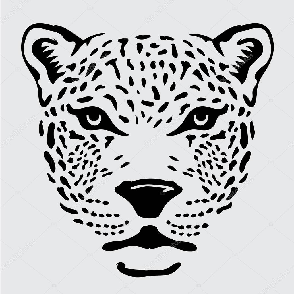 Panther head illustration