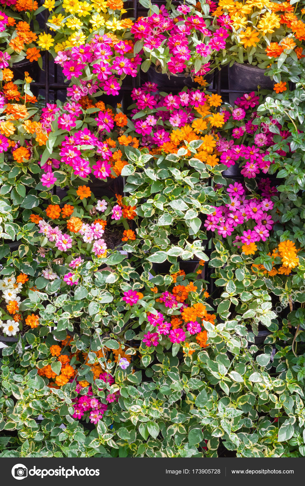 Sfondo di natura astratta, giardino parete — foto stock © piyachok ... Giardino a parete