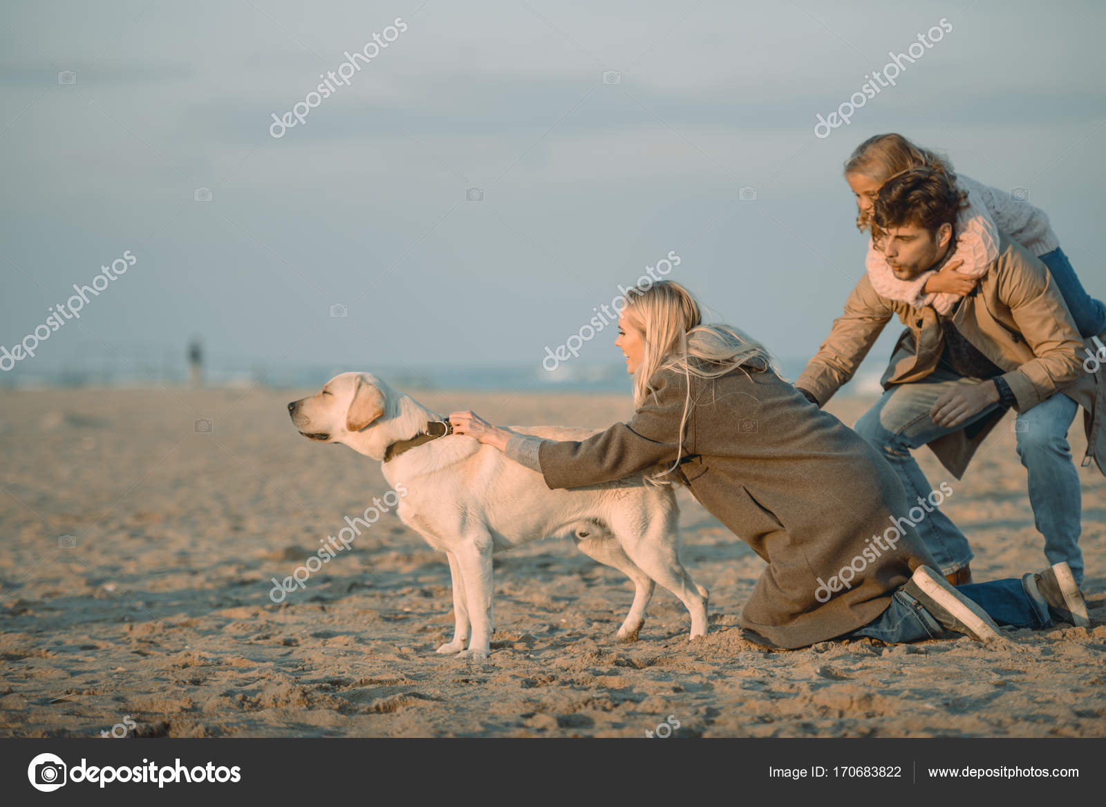 Understanding Dog Urinary Incontinence Causes, Diagnosis, Treatment