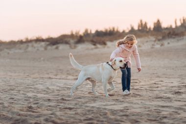 köpek ile plajda çalışan çocuk