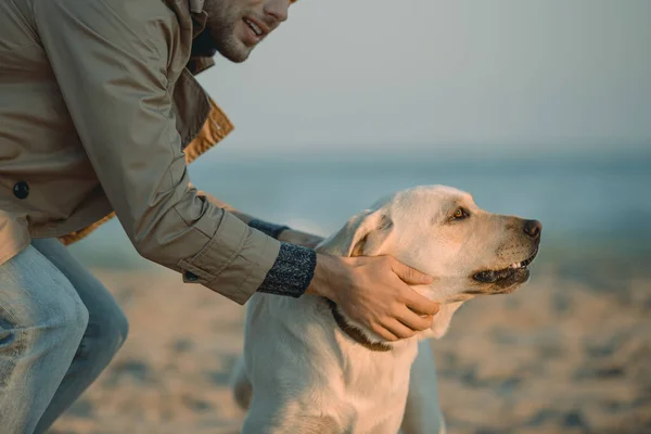 Labradordog を持つ男 — ストック写真