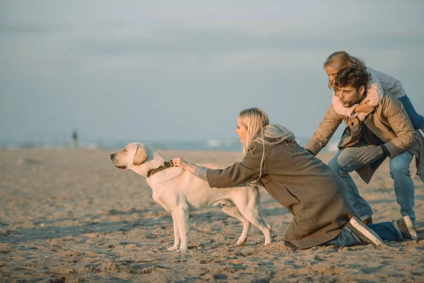 Familj med Labrador hund — Gratis stockfoto