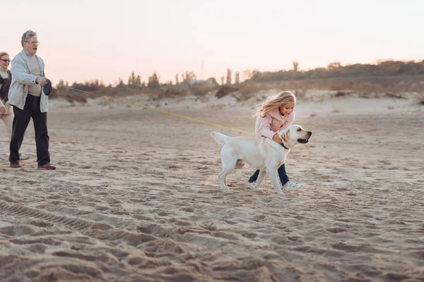 Prarodiče a vnučka procházky se psem — Stock fotografie