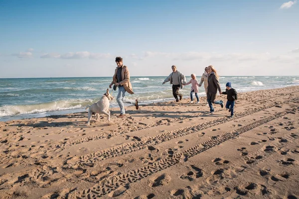 Grande famiglia in esecuzione con cane — Foto stock