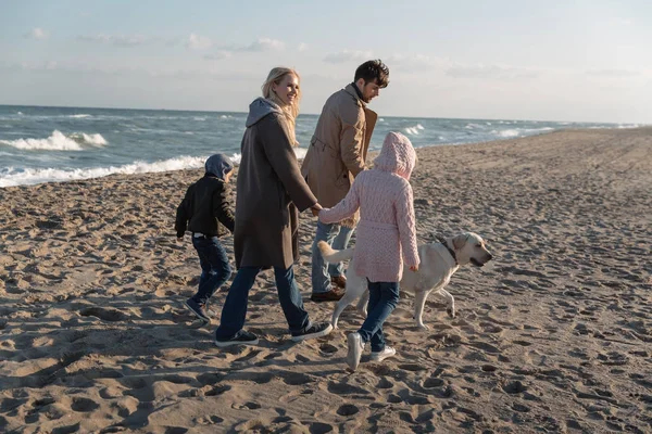 Família andando com cão na praia — Fotografia de Stock