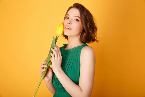 Yellow tulip — Stock Photo