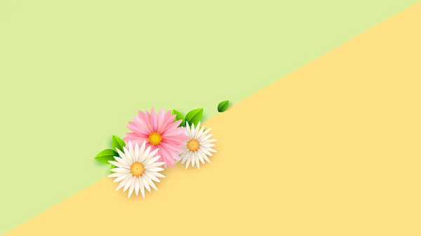 Flores de primavera macias em um fundo geométrico. Composição minimalista. Modelo de cartaz, cartões de férias. Vetor — Vetor de Stock