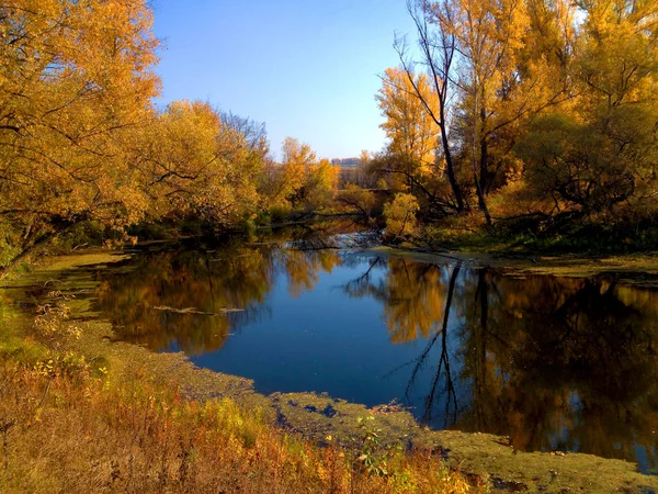 Güneş gün gölde orman ile sonbahar manzara