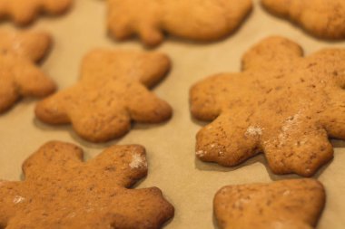 Zencefilli bisküvi yalan bir fırın tepsisine. Kurabiye pişirme kağıdı üzerinde. 