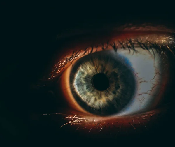 Vergrote beeld van de iris van een oog met een spleetlamp gemaakt — Stockfoto