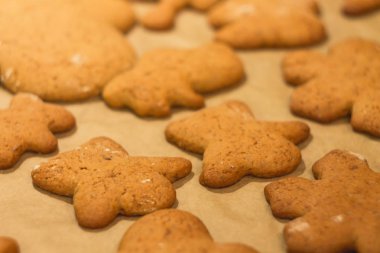 Zencefilli bisküvi yalan bir fırın tepsisine. Kurabiye pişirme kağıdı üzerinde. 