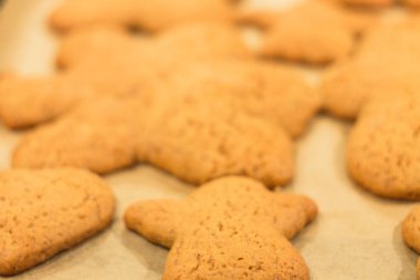 Zencefilli bisküvi yalan bir fırın tepsisine. Kurabiye pişirme kağıdı üzerinde. 