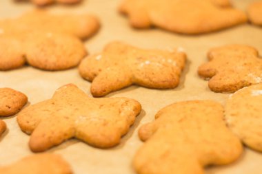 Zencefilli bisküvi yalan bir fırın tepsisine. Kurabiye pişirme kağıdı üzerinde. 