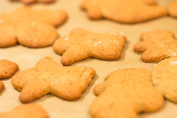 Ginger biscuits lie on a baking sheet. Cookies on baking paper.