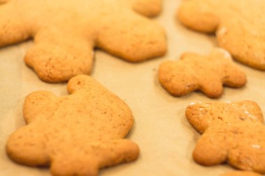 Zencefilli bisküvi yalan bir fırın tepsisine. Kurabiye pişirme kağıdı üzerinde. 