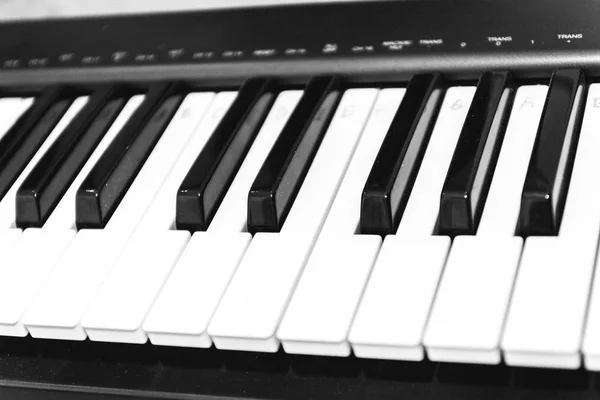 Teclas de piano blanco y negro, vista lateral. El concepto de música . —  Fotos de Stock