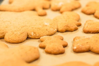 Zencefilli bisküvi yalan bir fırın tepsisine. Kurabiye pişirme kağıdı üzerinde. 