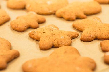 Zencefilli bisküvi yalan bir fırın tepsisine. Kurabiye pişirme kağıdı üzerinde. 