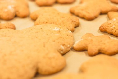 Zencefilli bisküvi yalan bir fırın tepsisine. Kurabiye pişirme kağıdı üzerinde. 