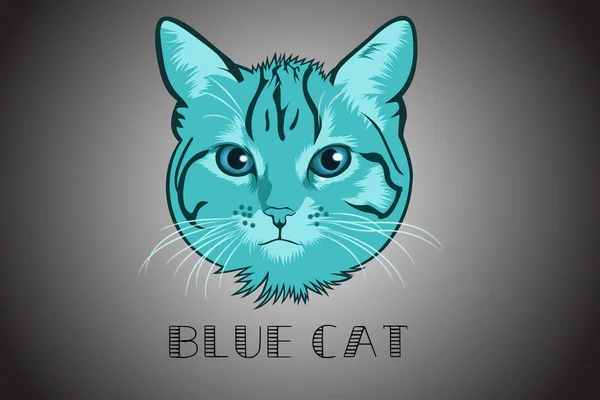 blue cat vector